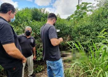 Polícia encontra corpo do sexo feminino em matagal às margens da BR-116 Norte