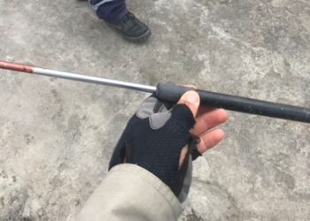 Carroceiro é preso após ser denunciado por agredir cachorro, animal não resiste a ferimentos e morre