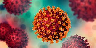 Estado registra 923 novos casos de Covid-19 e mais 27 óbitos pela doença