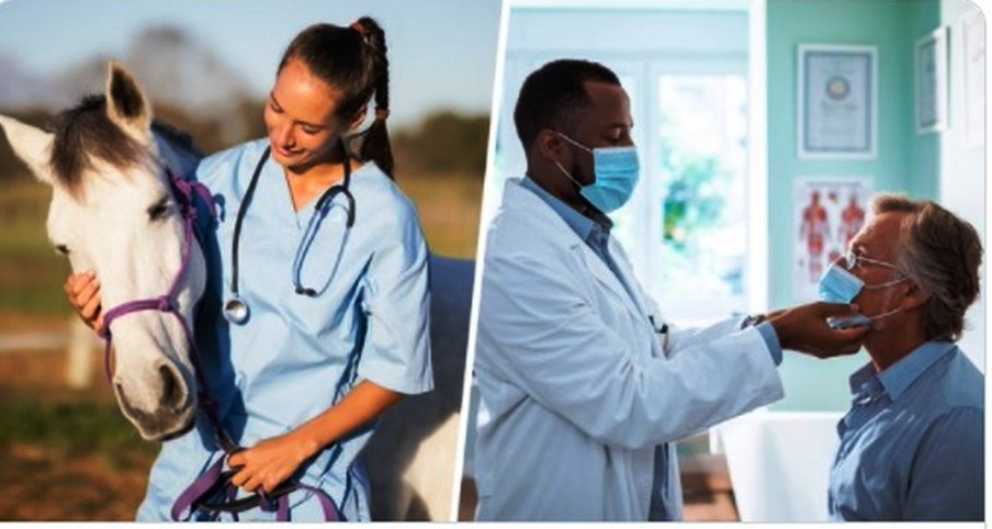 Você não é cavalo nem vaca, deixe de tomar ivermectina, alerta agência de medicamentos dos EUA