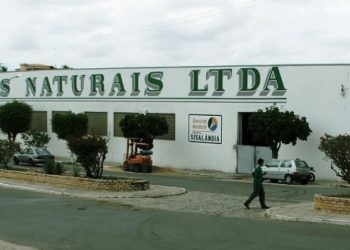 Diretoria de empresa do ramo de sisal acusada de usar o trabalho escravo divulga nota