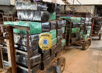 2,7 toneladas de narcótico são incineradas no mesmo dia da apreensão