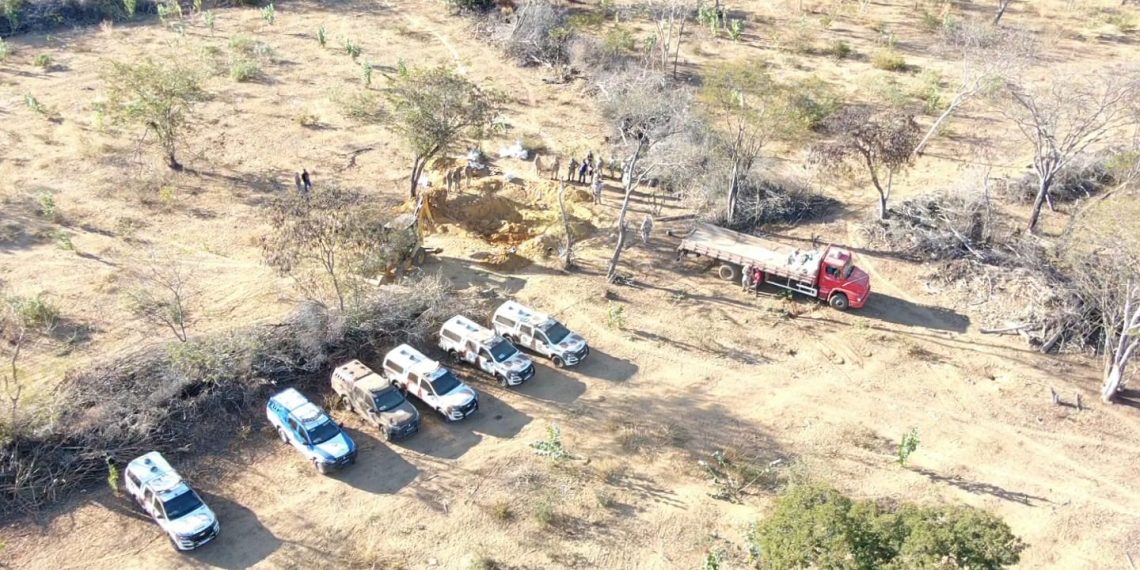 Atuação da PM contra criminalidade resulta em apreensão histórica de droga no oeste da Bahia