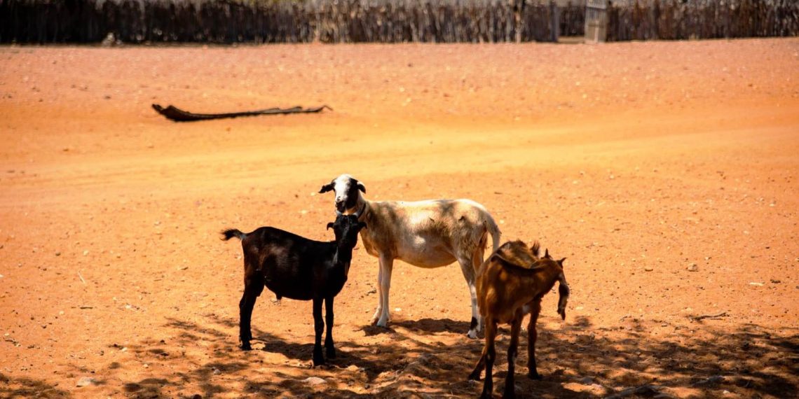 Juazeiro – Agricultores pede apoio ao deputado Alex da Piatã para que água do projeto Salitre chegue as suas comunidades