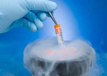 Congelamento de óvulos cresce no Brasil