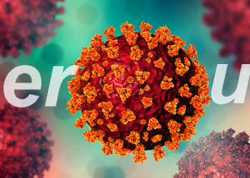 Covid-19 – Quase metade dos municípios está com zero caso de vírus ativo (45%)