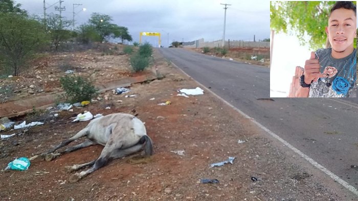 Jovem faz ‘prancha’ em motocicleta e morre em colisão com animal na BR 235