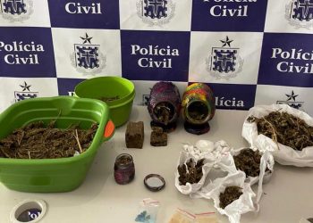 Polícia Civil apreende drogas e prende 5 traficantes durante Operação