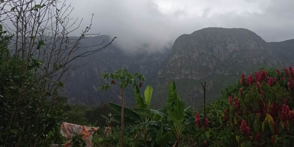 Incêndios florestais: chuvas no interior diminuem focos de calor