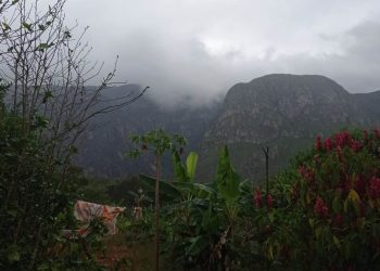 Incêndios florestais: chuvas no interior diminuem focos de calor