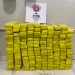 Operação Bloqueio: CETO do 16ºBPM apreende 130 kg de maconha na BR-116 transportados em dois veículos