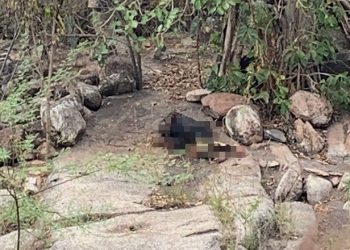 Idoso é encontrado morto na zona rural de Nova Fátima. Corpo estava parcialmente carbonizado