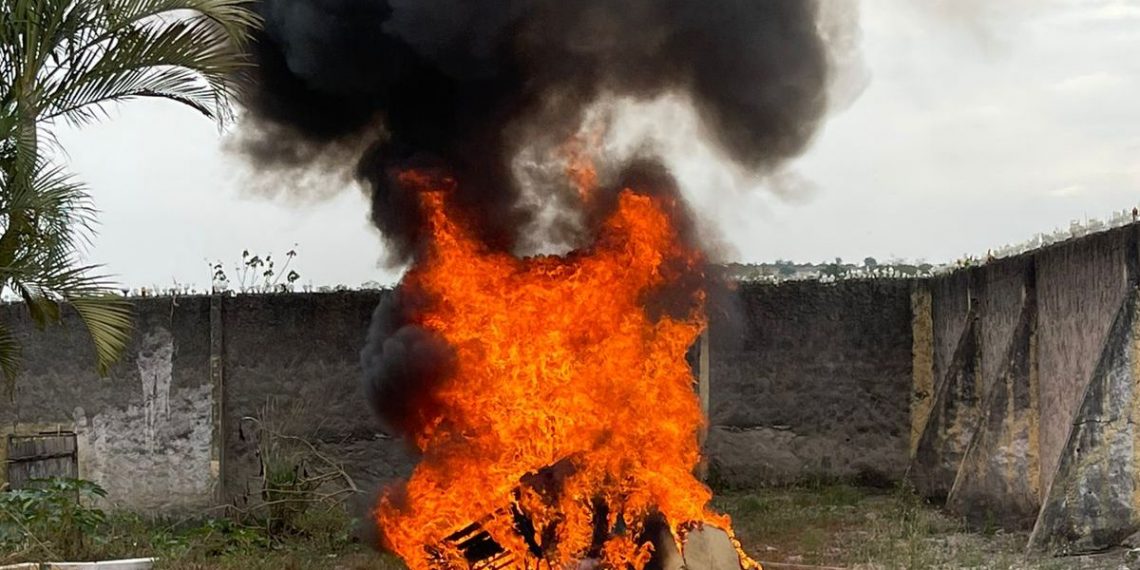 Coité – Polícia Civil incinera quase 200 kg de drogas apreendidas nos dois últimos anos