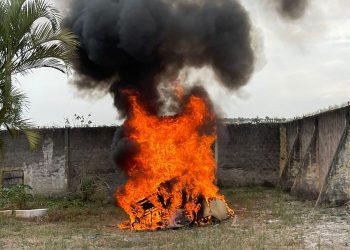 Coité – Polícia Civil incinera quase 200 kg de drogas apreendidas nos dois últimos anos