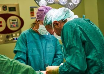 USP planeja teste de transplante de rim de porco para humano no Brasil em dois anos