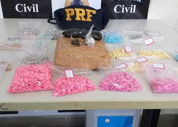 Casal é preso com quase 2,5 mil comprimidos de ecstasy em carro na BR-407