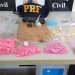 Casal é preso com quase 2,5 mil comprimidos de ecstasy em carro na BR-407