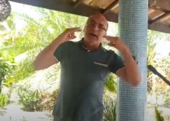 Ponto do Cafezinho: cachorro ajuda nos afazeres da família
