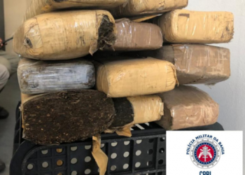 PM apreende 20 kg de maconha em Feira de Santana; droga foi abandonada por suspeito ao avistar viatura