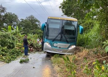 Árvore cai, bloqueia BR-330 e passageiros de ônibus passam a noite na pista