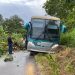 Árvore cai, bloqueia BR-330 e passageiros de ônibus passam a noite na pista