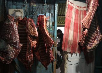 RS – Seis homens são presos acusado de vender carne de cavalo para hamburguerias