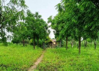 Bandidos fazem uma verdadeira ‘mudança’ ao praticarem mais um arrombamento em casa de fazenda