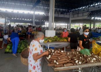 Nova Fátima I – Feira-livre se destaca pela organização e apoio a agricultura familiar