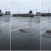 Chuva forte faz peixes invadirem a pista do aeroporto de Ilhéus