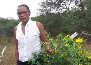 Mulher morre após receber descarga elétrica enquanto lavava roupa
