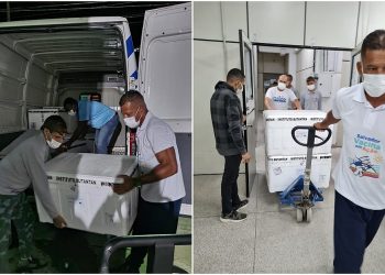 Vacina da gripe protege contra a H3N2 Darwin, diz Butantan