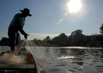 Caixa abre linha de crédito específica para pescadores artesanais