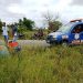 Motociclista fica gravemente ferido em acidente na BA 411 região de Salgadália