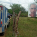 Homem é assassinado na zona rural de Santa Bárbara