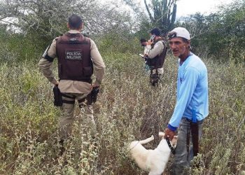 Ossada humana é encontrada em fazenda no município de Ichu. Filha acredita que pode ser do idoso de Aroeira