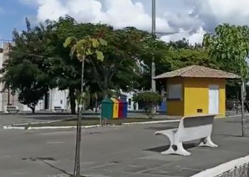 Cidadão jacuipense denuncia que plantas estão morrendo em praças de Riachão por não serem molhadas