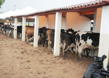 Prefeitura de Itaberaba divulga programação da  4ª Expoparaguaçu.Confira as atrações para 2022