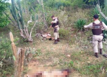Homem encontrado morto e outro ferido a tiros na zona rural de Gavião. O sobrevivente disse que é de Coité