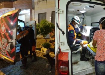 Brigada Anjos Jacuipenses desloca 30 km para prestar socorro a cachorro atropelado