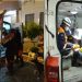 Brigada Anjos Jacuipenses desloca 30 km para prestar socorro a cachorro atropelado