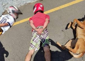 PR – Cachorro caramelo deita ao lado de suspeitos durante abordagem policial; foto viraliza