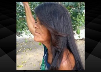 Mulher morre após ser atropelada por caminhão na BR 324