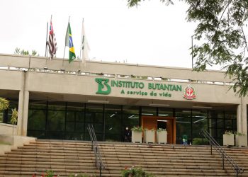 Vacina única contra covid-19 e influenza tem resultados promissores
