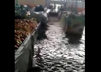 Novo temporal volta alagar ruas e centro de abastecimento de Valente