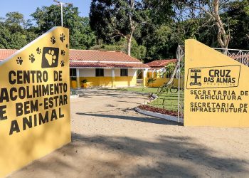 Cruz das Almas inaugura centro de acolhimento para cães de rua