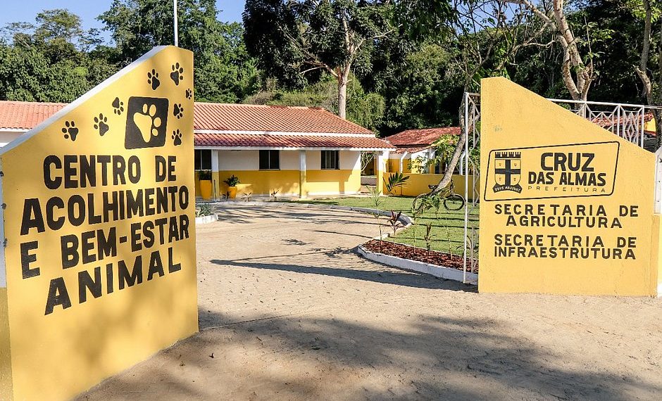 Cruz das Almas inaugura centro de acolhimento para cães de rua