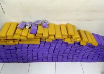 Polícia Militar apreende 410 quilos de maconha