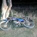 Jovem morre após moto que pilotava bater em árvore