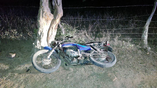 Jovem morre após moto que pilotava bater em árvore