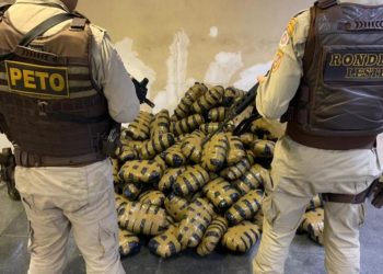 Veículo com casal é interceptado com 150 kg de maconha em Feira de Santana